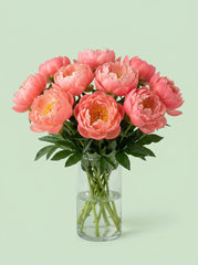 Peonias coral fuego
