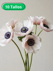 Anémona Rosa Pastel