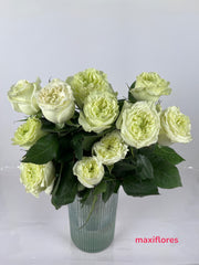 Green X-Pression - Inglesas