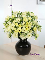 Mariposa Amarillo Pastel