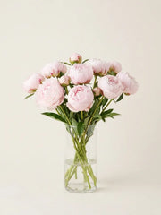 Peonías Rosa Claro