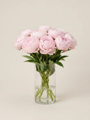 Peonías Rosa Claro