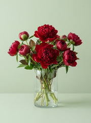 Peonias rojo encendido