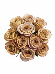 Rosas Ocre