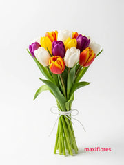 Tulipanes Colores Mixtos