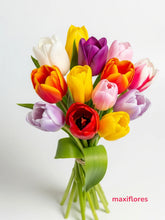 Tulipanes Colores Mixtos