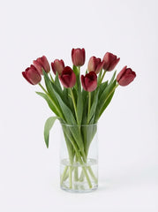 Tulipanes Maxi Rojo Vino