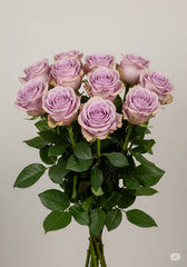 Rosas Lila