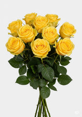 Rosas Amarillas