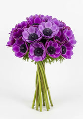 Anémona Fuchsia