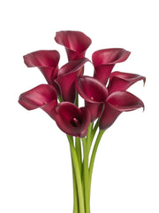Callas Rojas