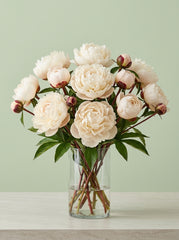 Peonias blanco crema