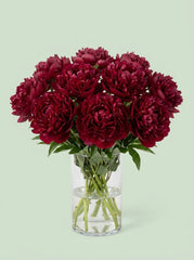 Peonias vino