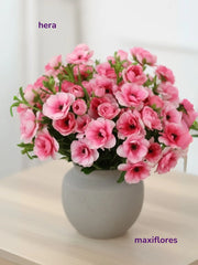 Mariposa Rosa
