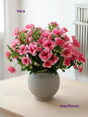 Mariposa Rosa