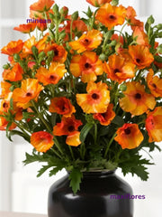 Mariposa Naranja
