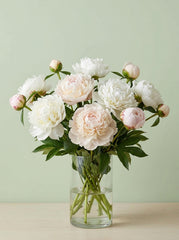 Peonias rosa palido