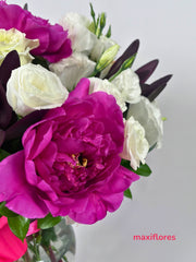 Peonias Fuchsia