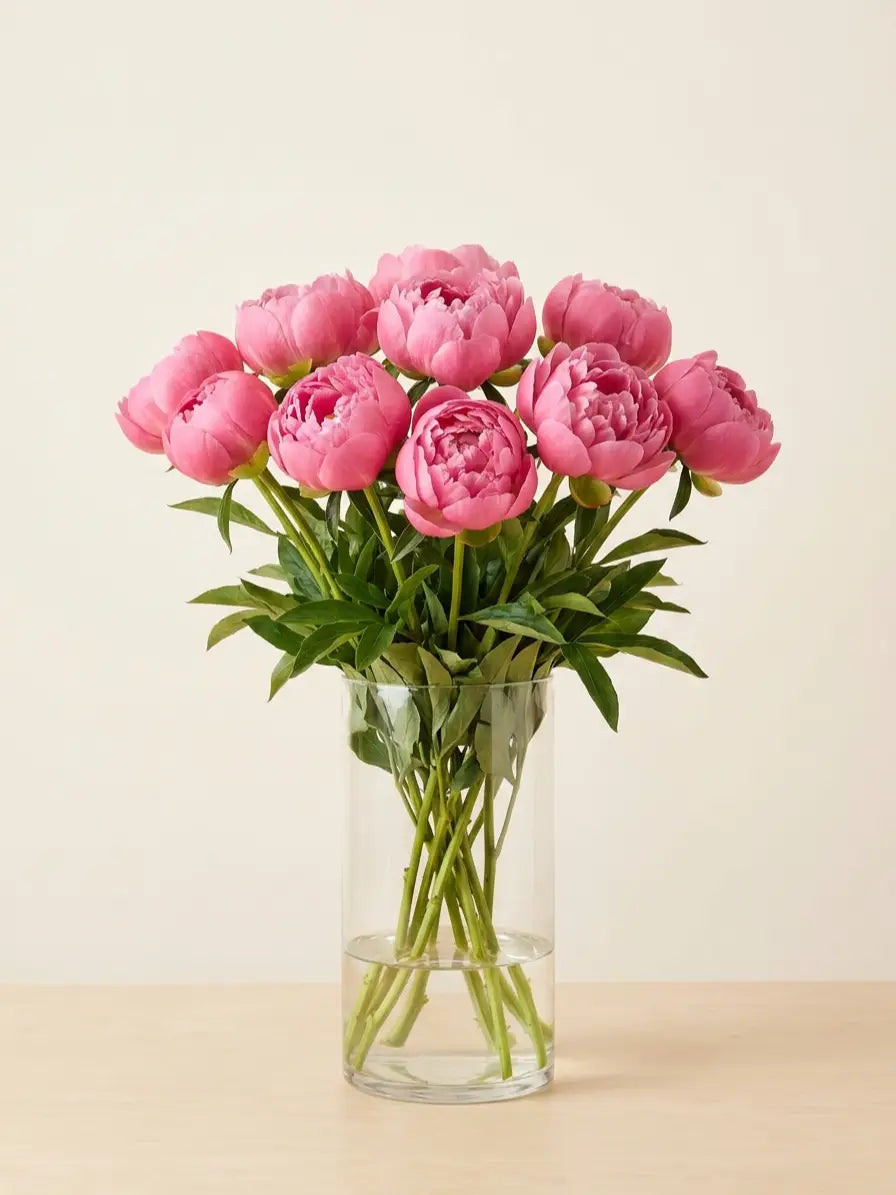 Peonías Rosa