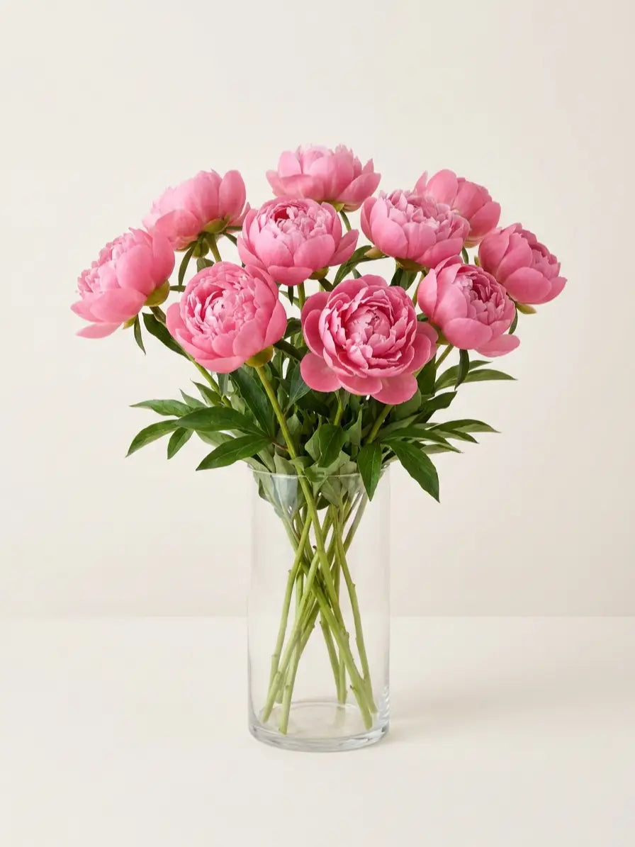 Peonías Rosa