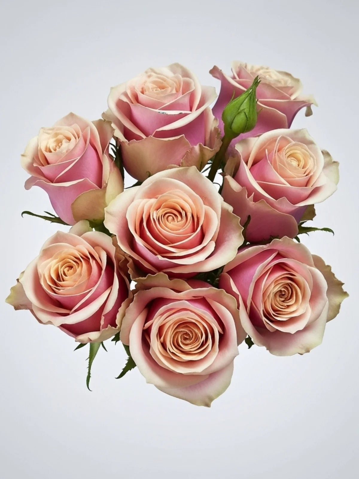 Rosa Pink Amareto
