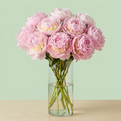 Peonias rosa melocoton
