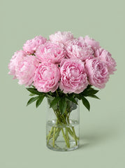 Peonias rosa profundo