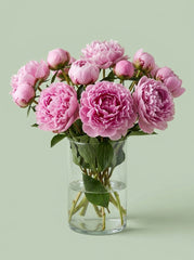 Peonias rosa viejo