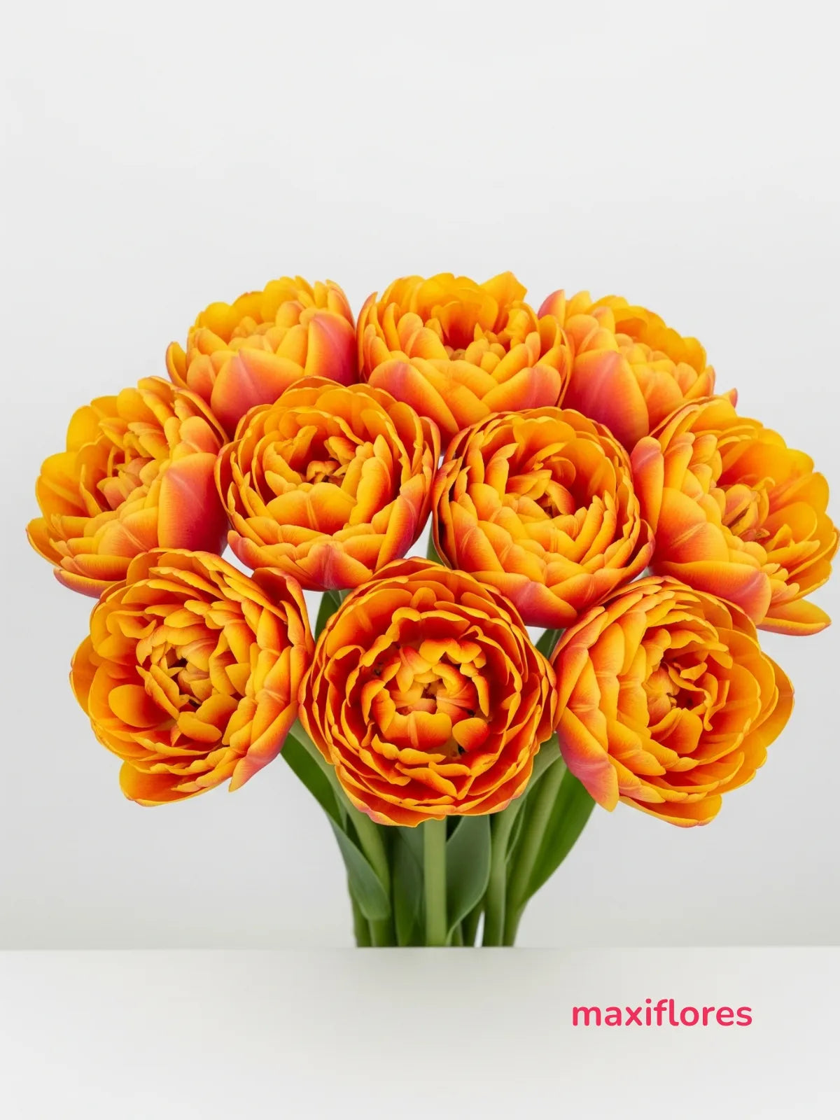 Tulipanes Doble Naranja