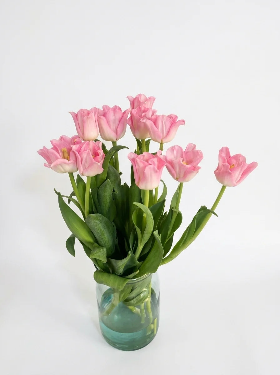 Tulipanes Corona Rosa