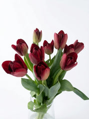 Tulipanes Maxi Rojo Vino