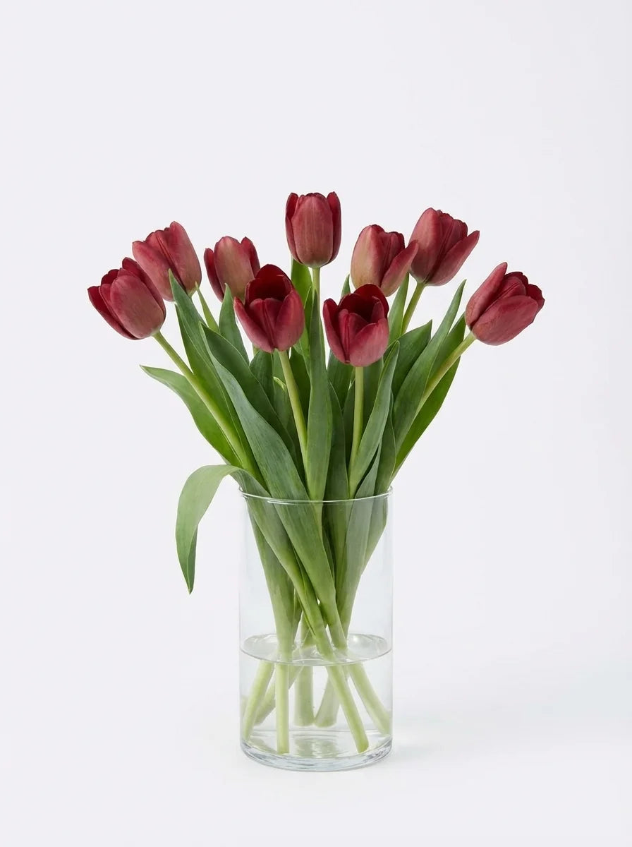 Tulipanes Maxi Rojo Vino